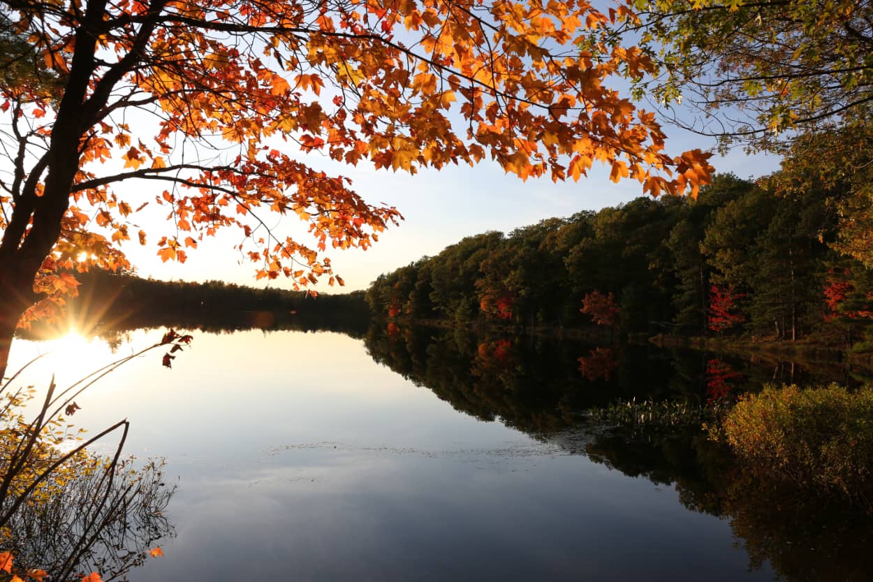 We Love Fall in the Northwoods Sweepstakes